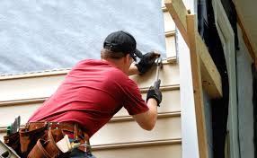 Best Vinyl Siding Installation  in Shenandoah, IA